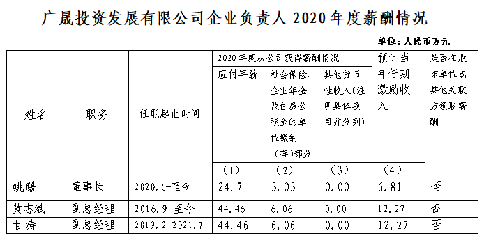 2020企業(yè)負(fù)責(zé)人薪酬表格圖.jpg