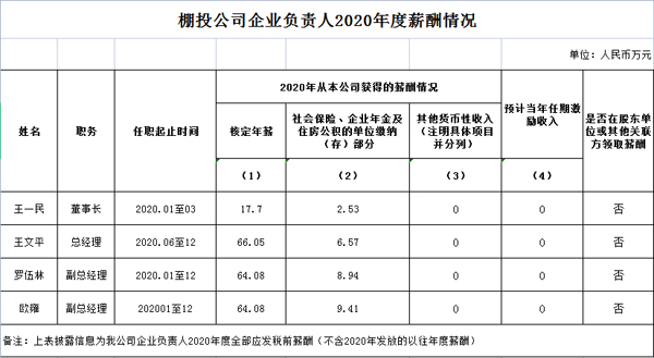 2020年度薪酬情況.jpg